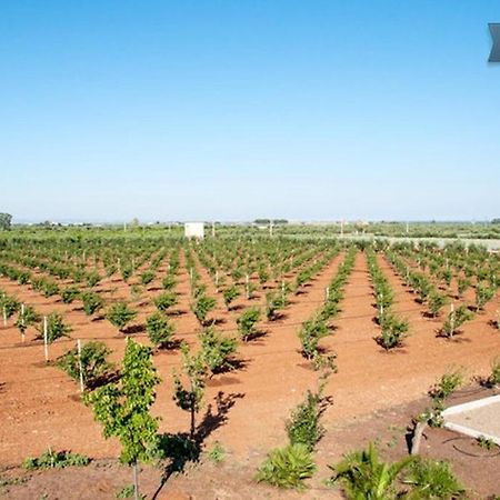 Гостевой дом Agriturismo Biologico Sant'Andrea Кастелланета-Марина Экстерьер фото